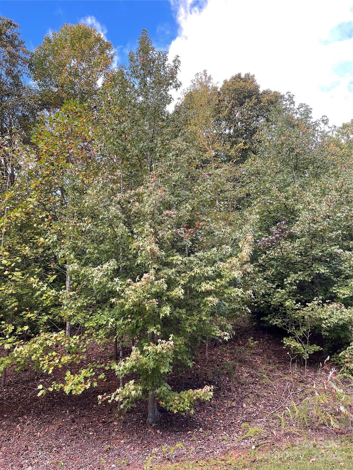 5112 Kings Pinnacle Drive