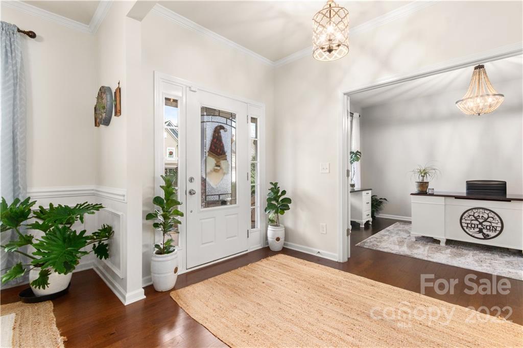 Springfield - Residential