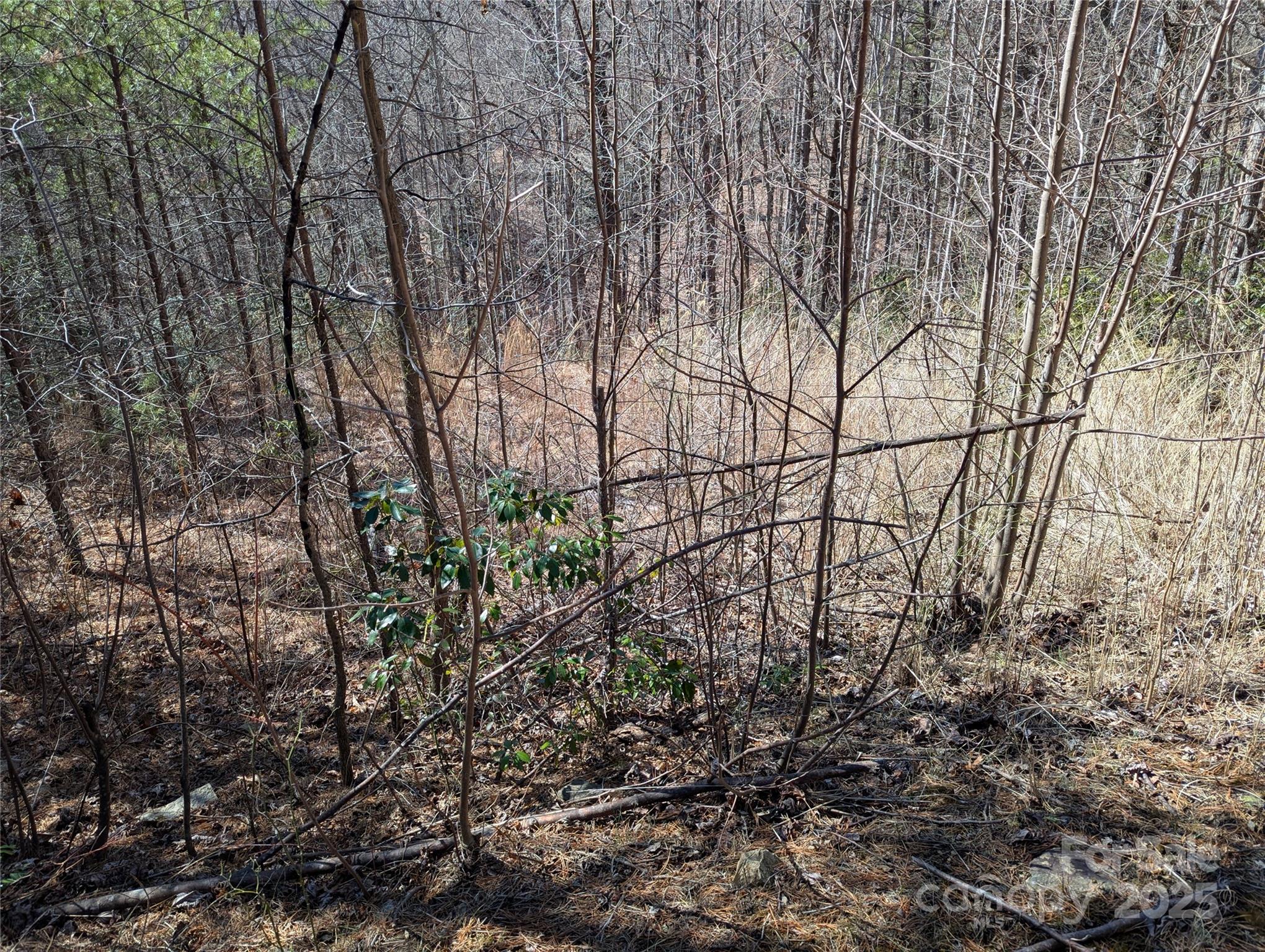 94 Trillium Lane C-2