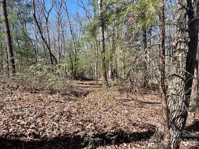 TBD Connelly Springs Road 5