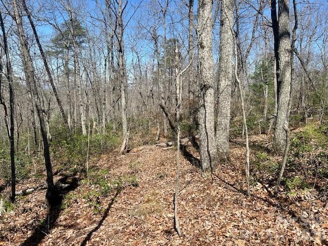 TBD Connelly Springs Road 5