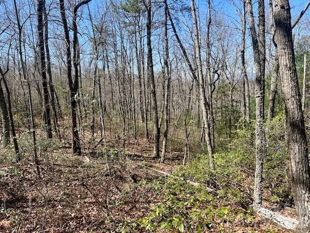 TBD Connelly Springs Road 5
