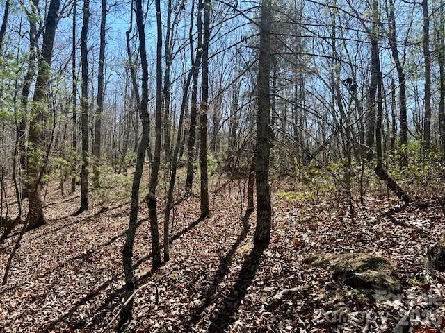 TBD Connelly Springs Road 5