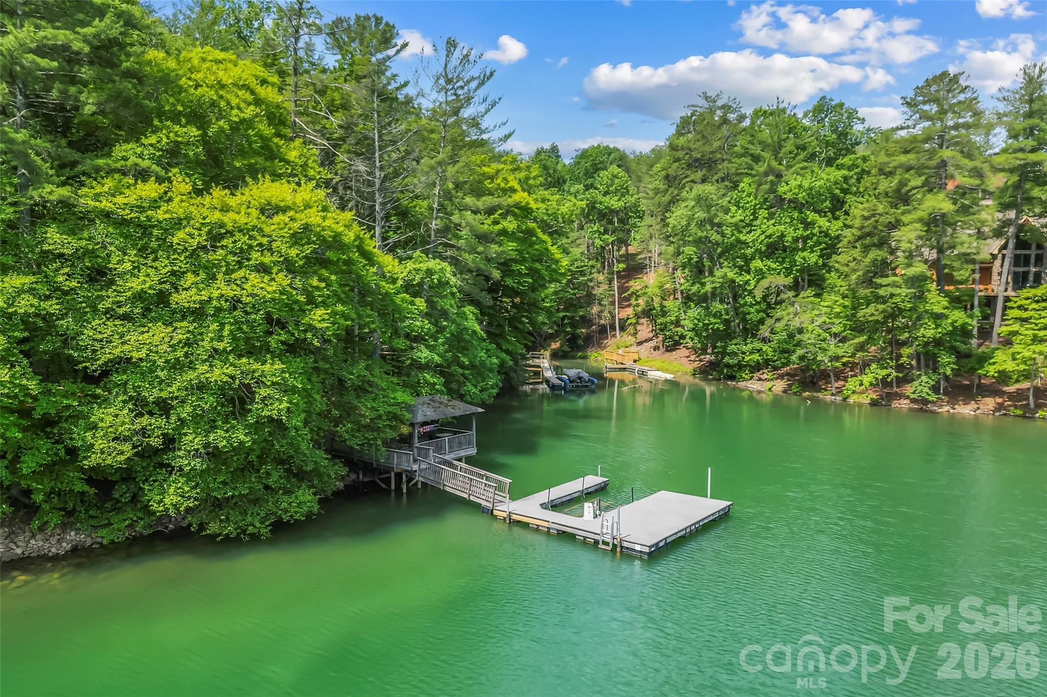1513 Braxton Gate Drive 216