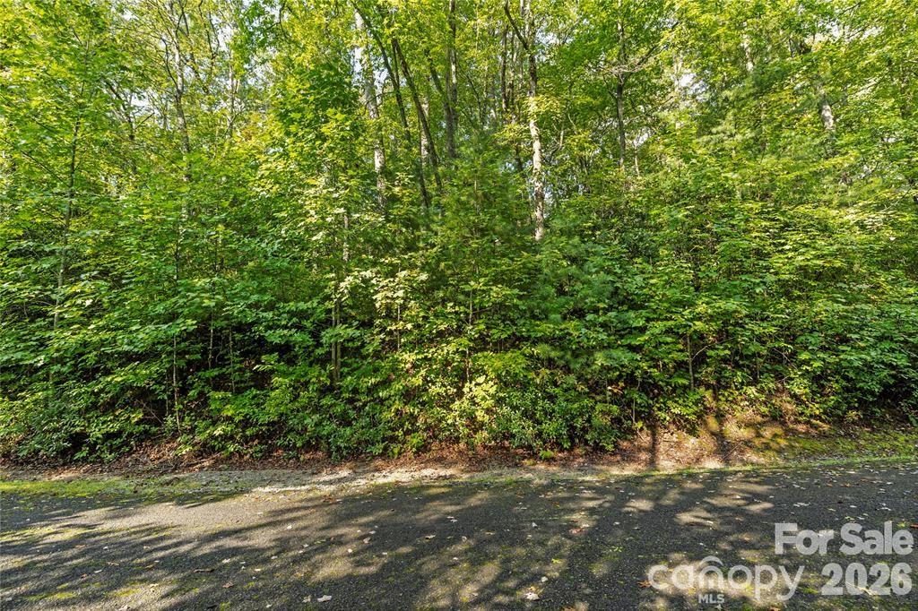 Sweetwater Ridge - Land