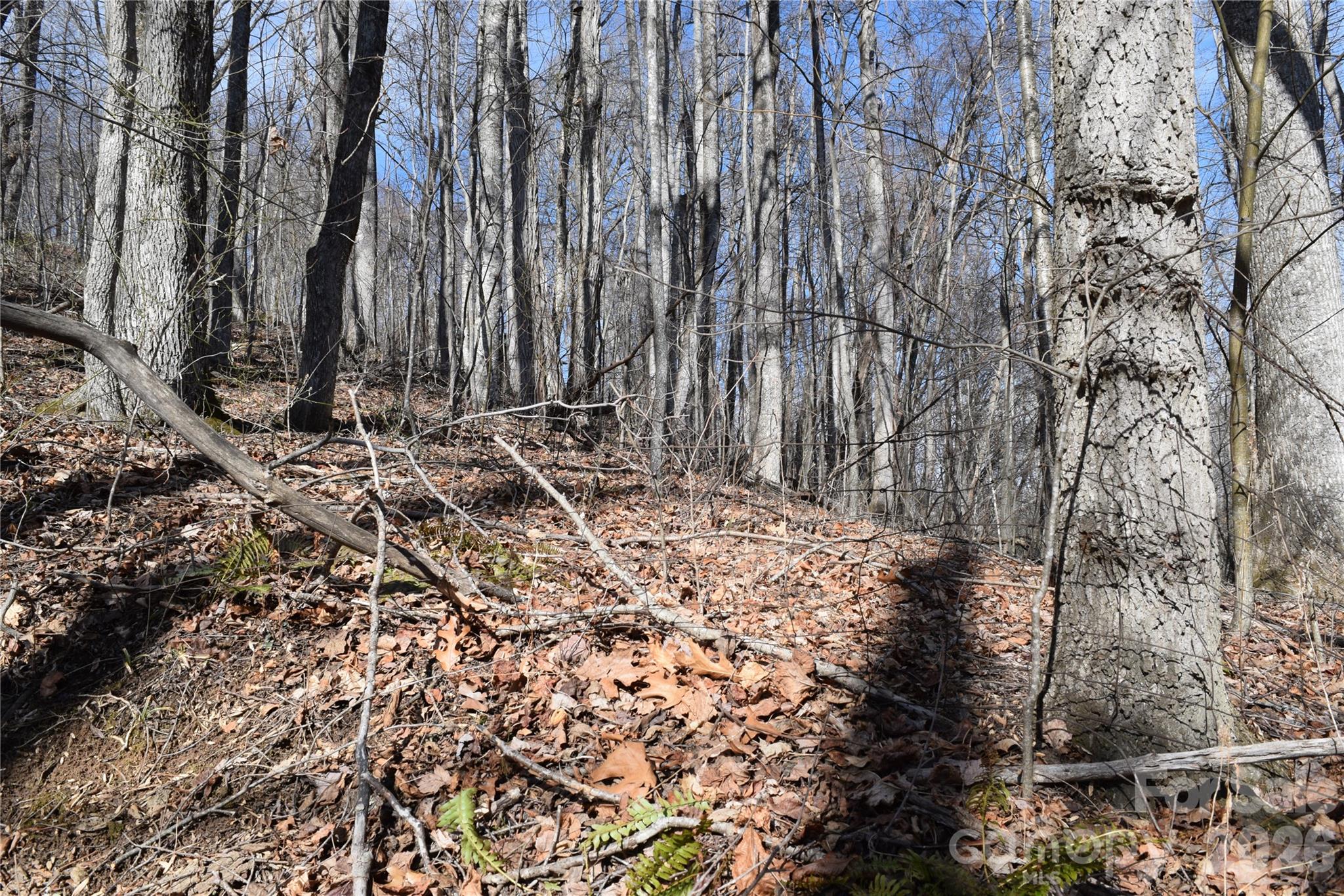 417& 418 Multiflora Way 417&418