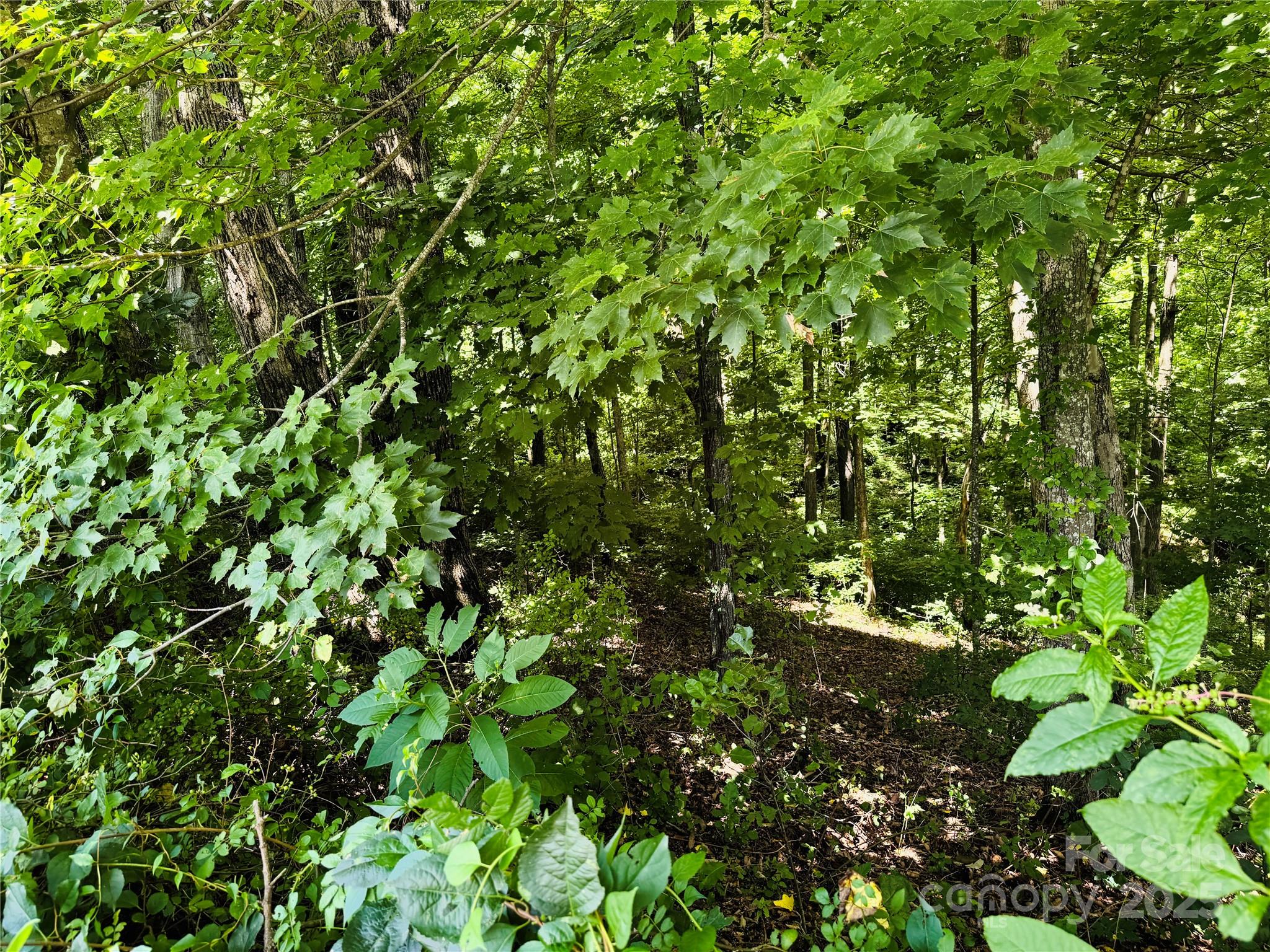 Somersby Park - Land