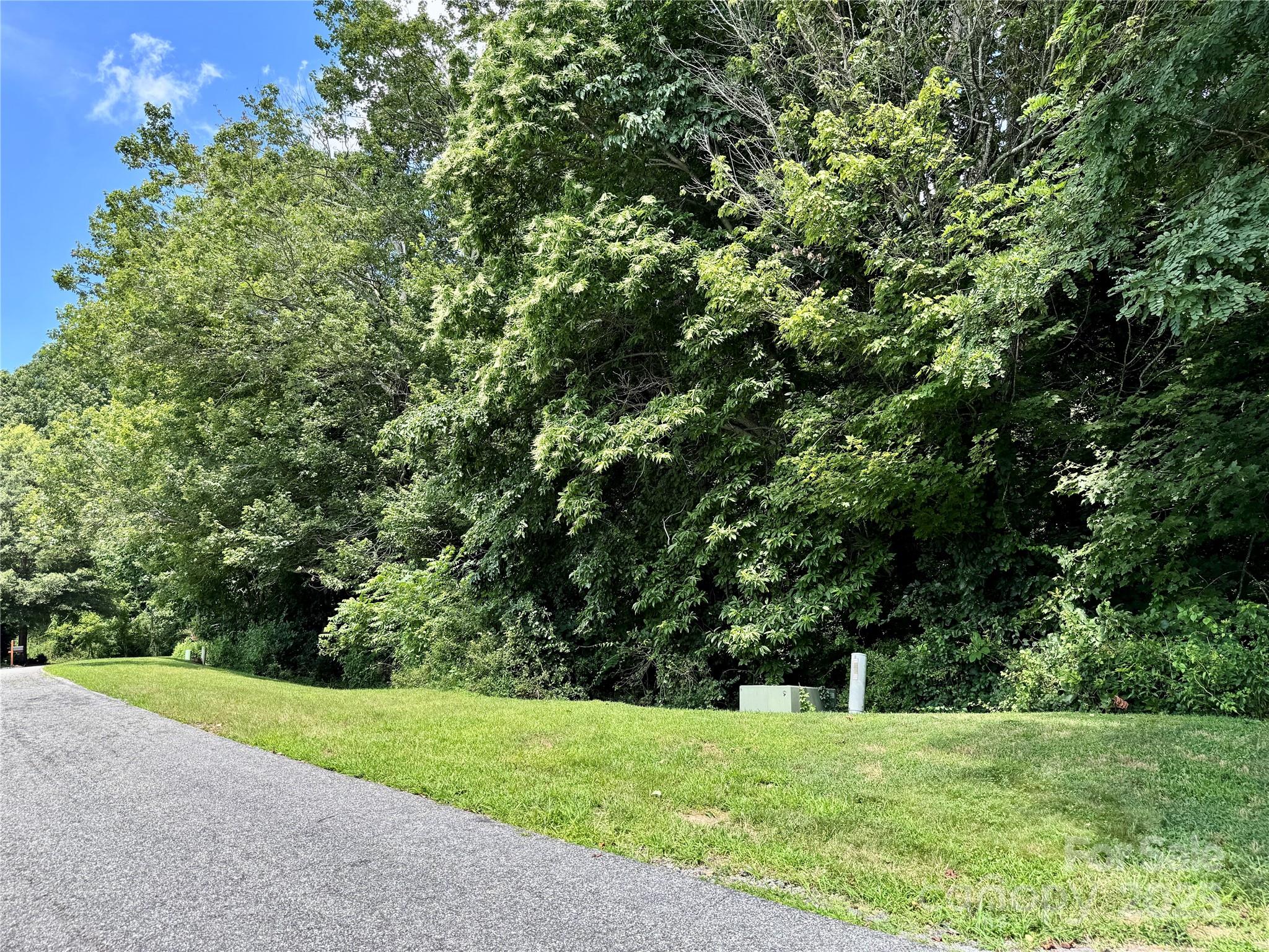 35 Ladys Fern Trail