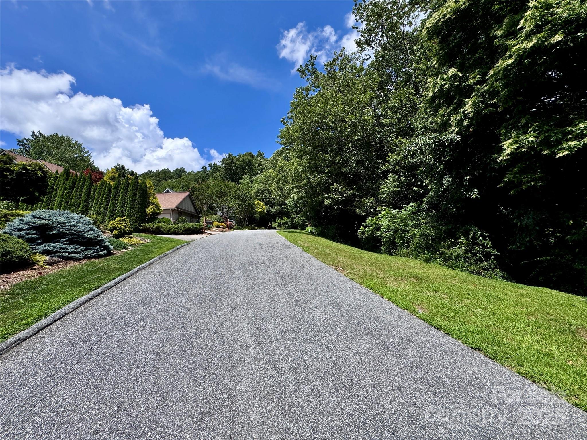 35 Ladys Fern Trail