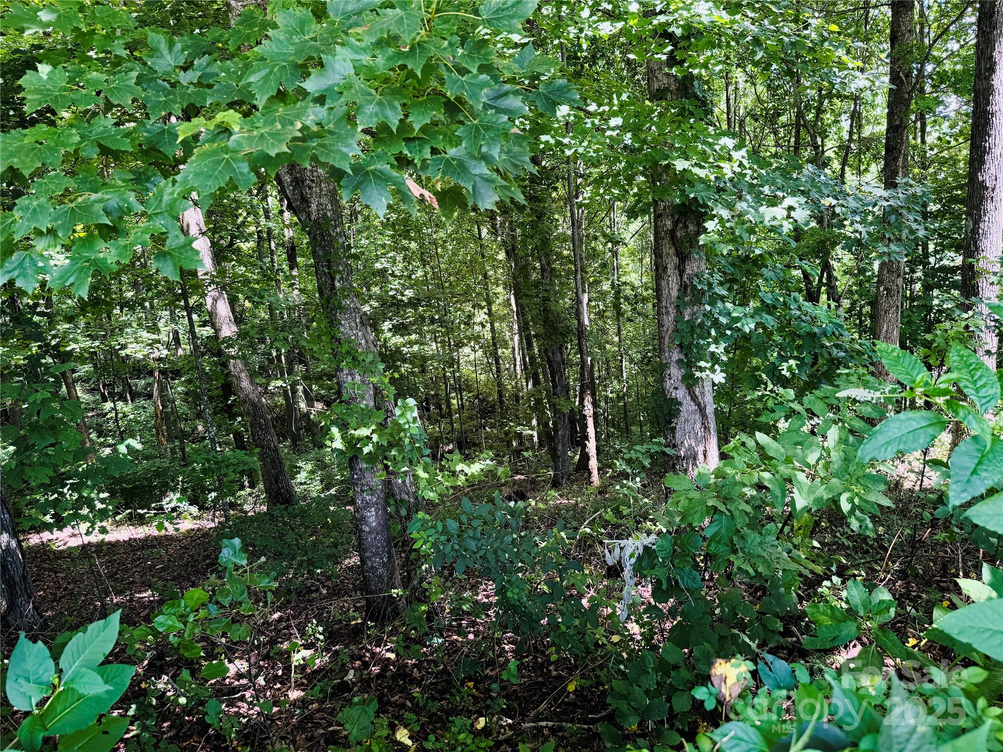 Somersby Park - Land