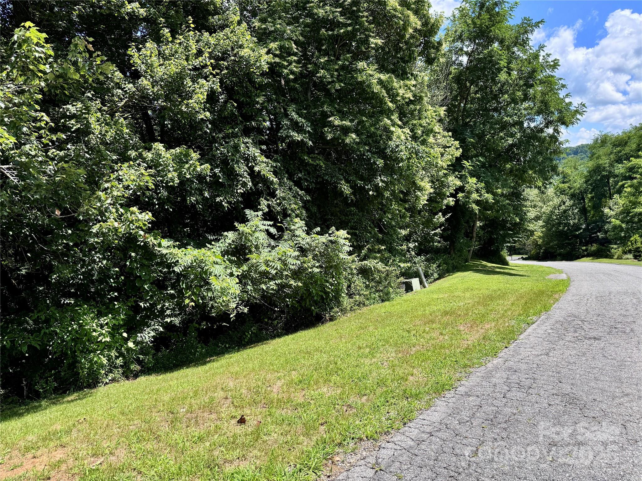 35 Ladys Fern Trail