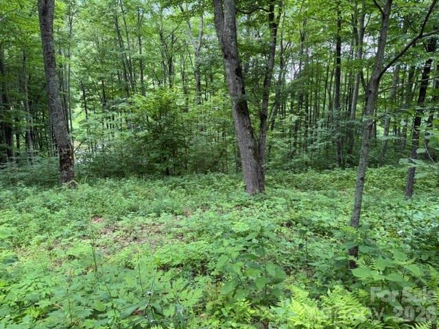 Lot 36 Odalu Trail 36