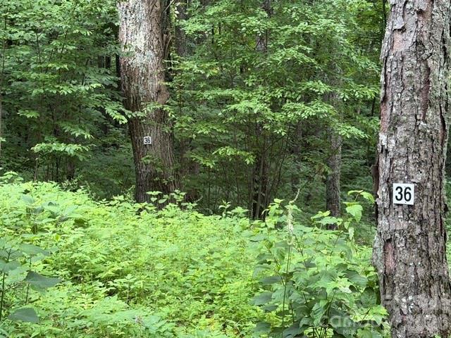 Lot 36 Odalu Trail 36
