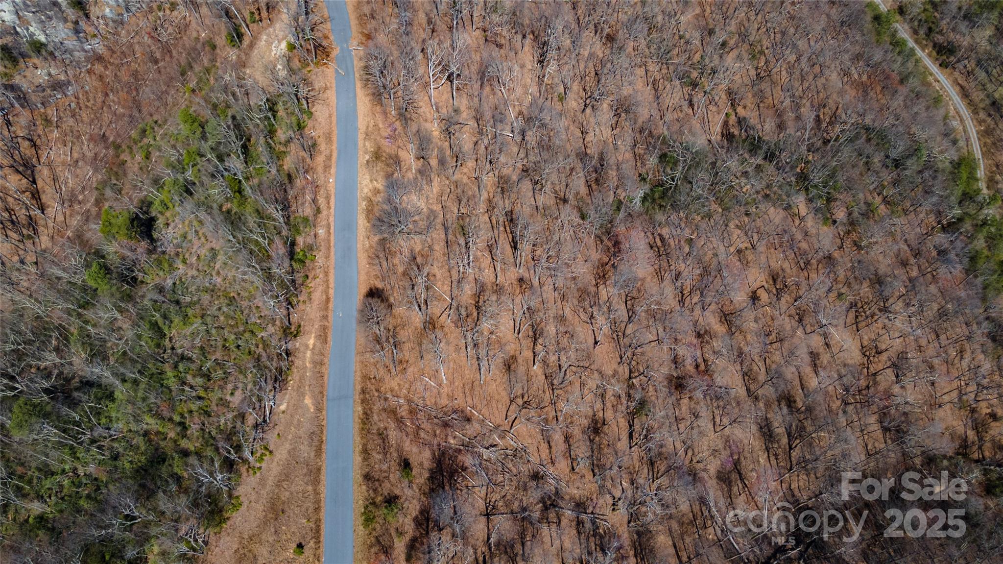 99 Devin Ridge Lane
