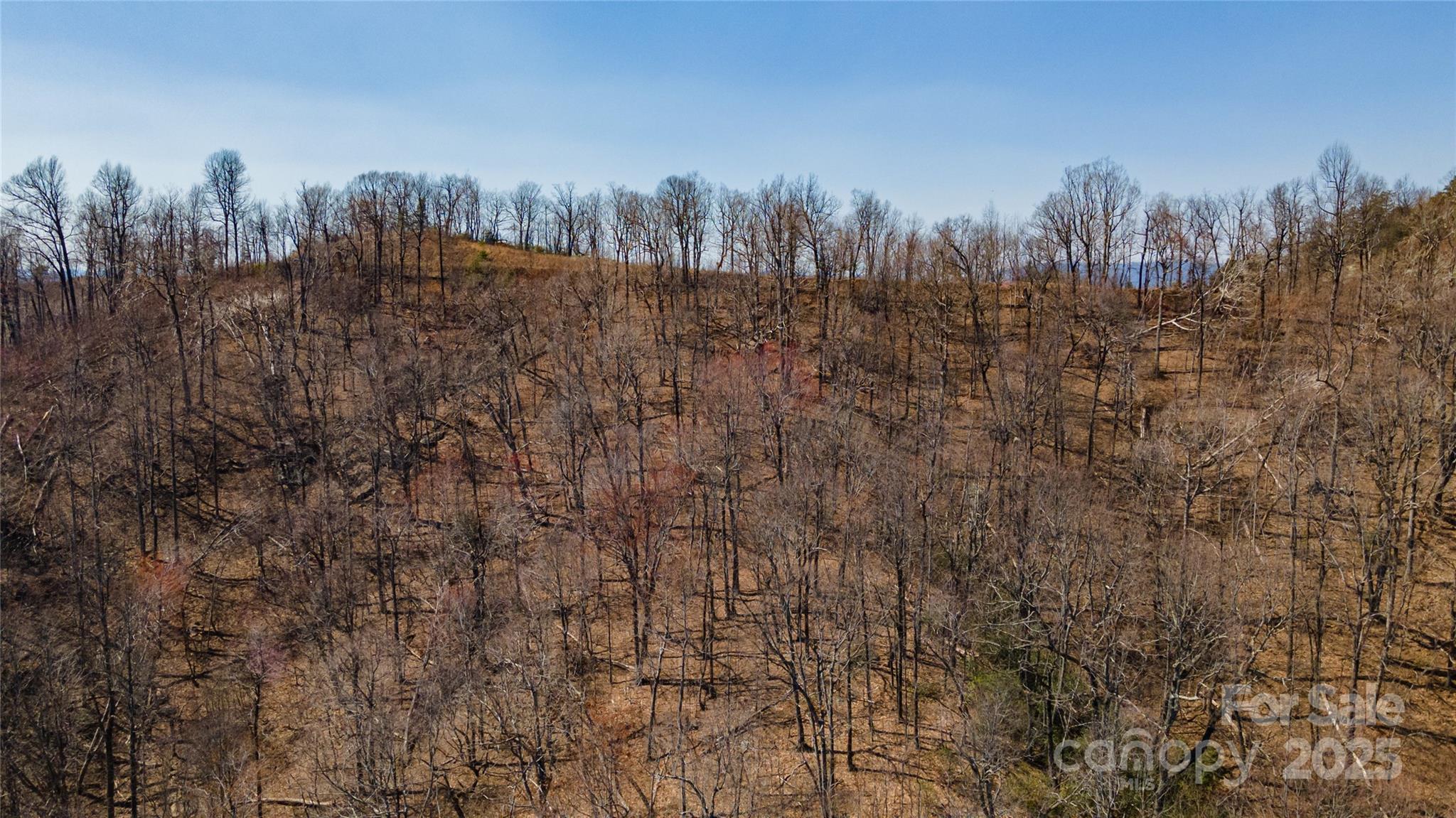 99 Devin Ridge Lane