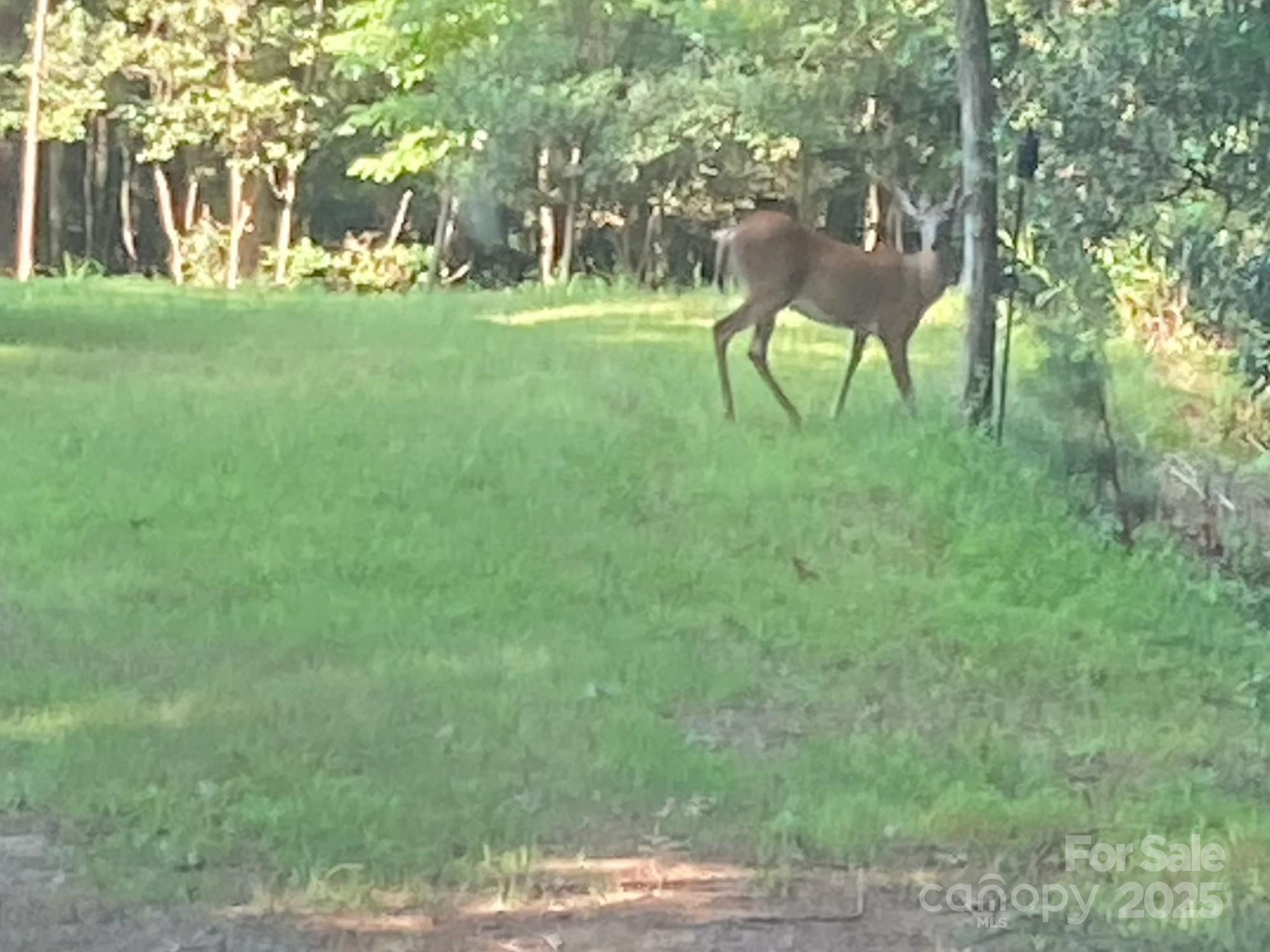 394 Rainbow Trout Drive