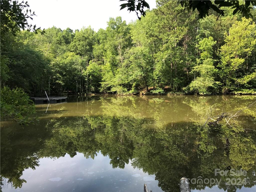 Debutary Pointe - Land