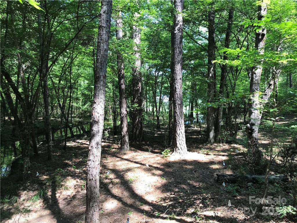 Debutary Pointe - Land