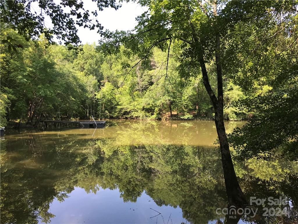 Debutary Pointe - Land