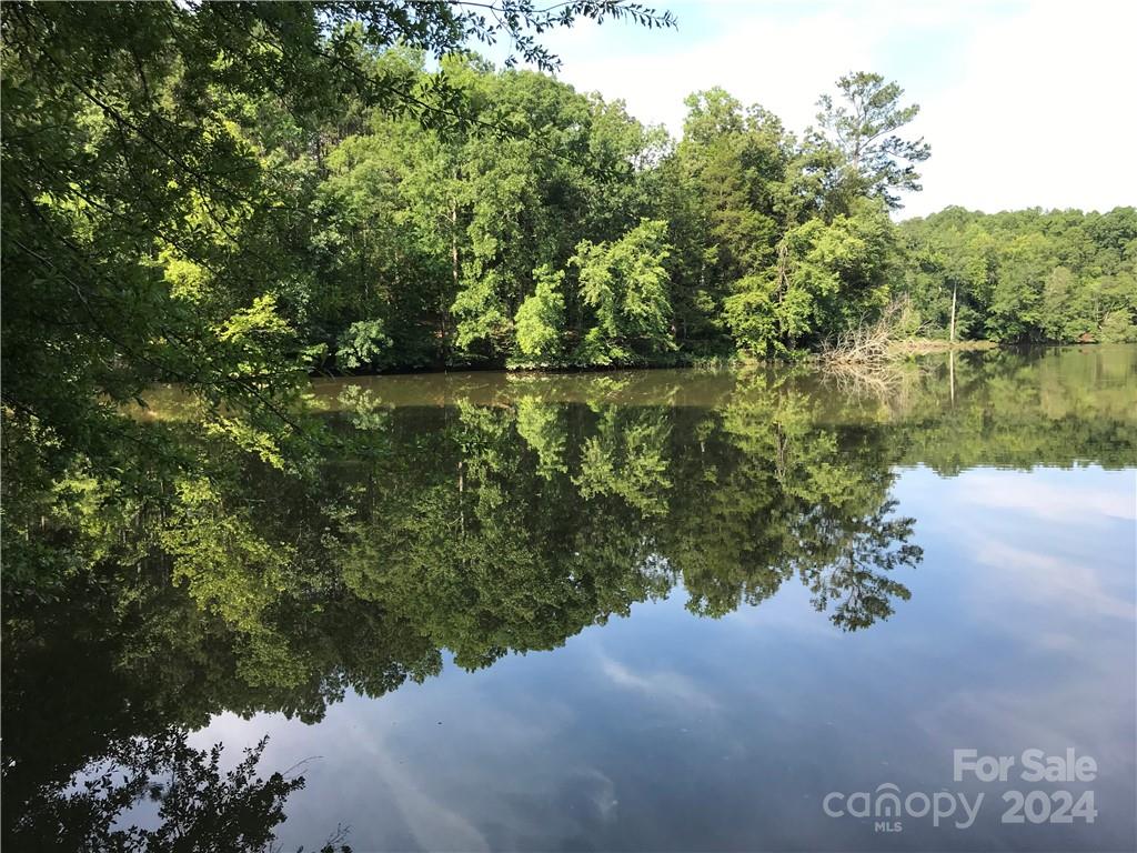 Debutary Pointe - Land