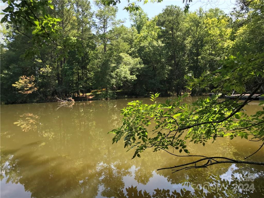 Debutary Pointe - Land