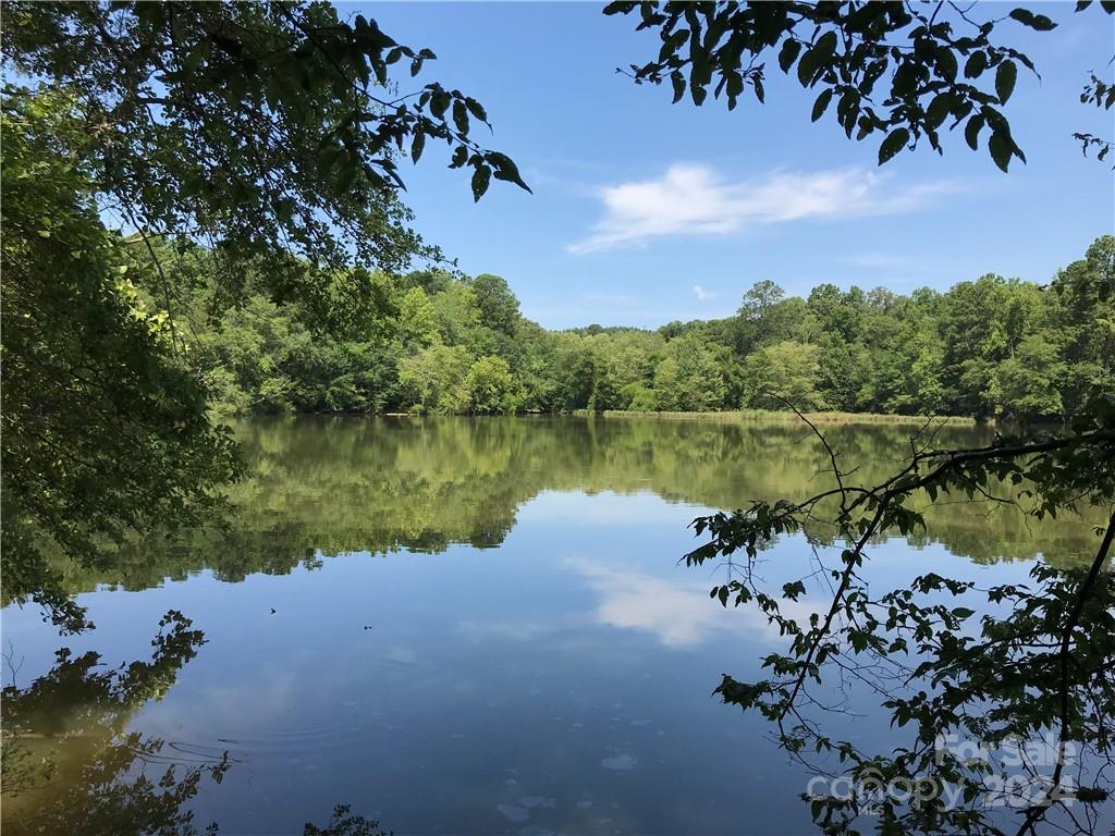 Debutary Pointe - Land