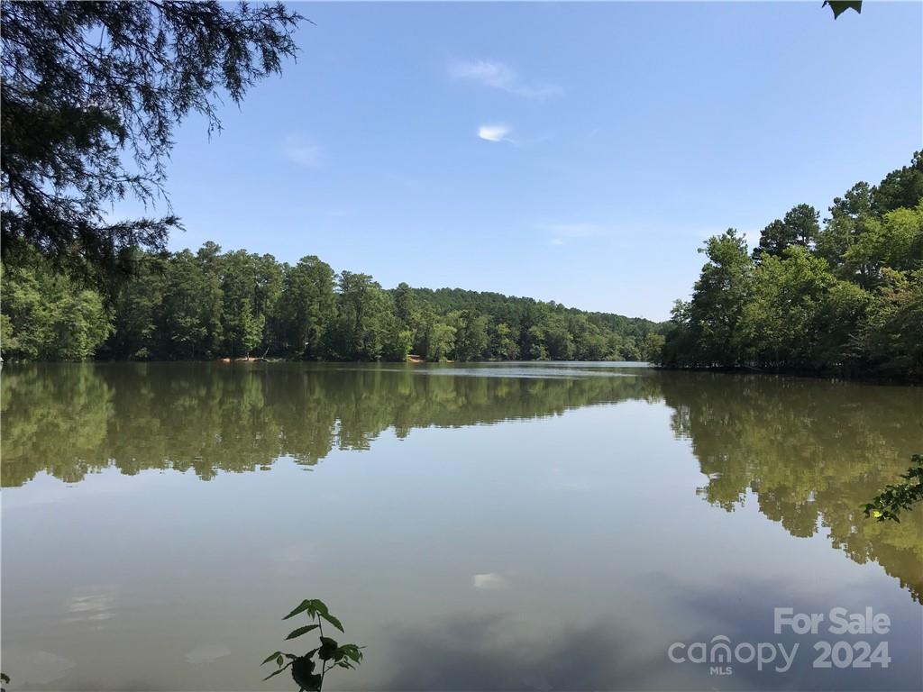 Debutary Pointe - Land