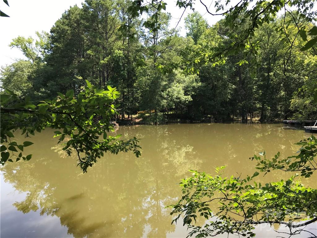 Debutary Pointe - Land