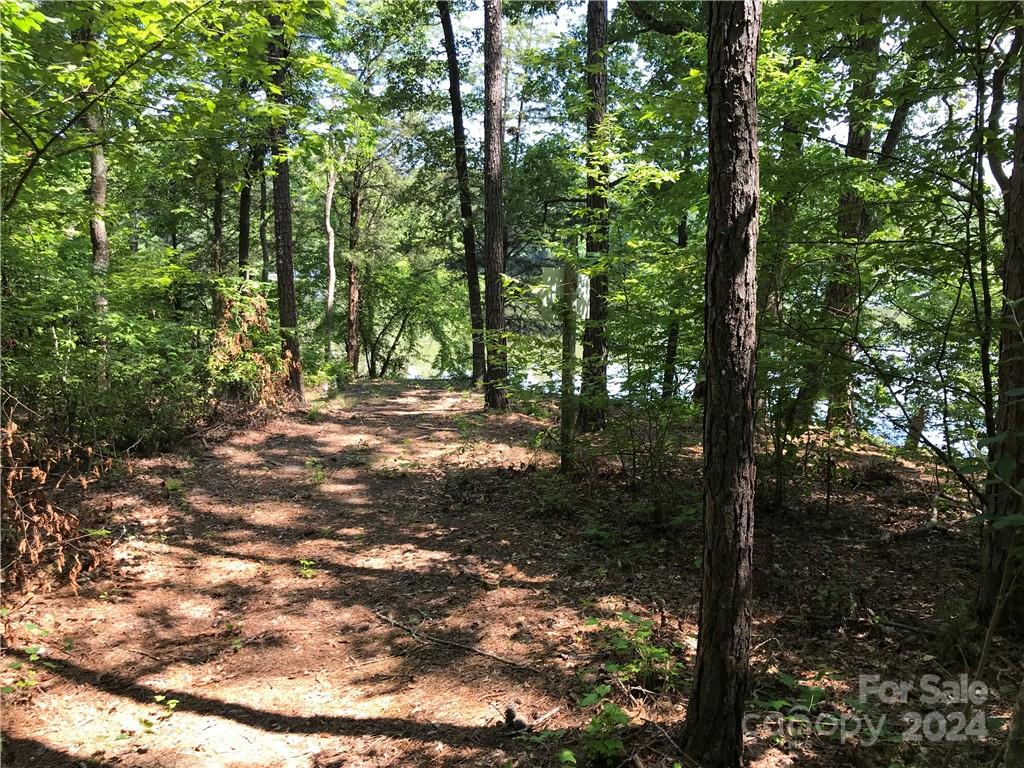 Debutary Pointe - Land