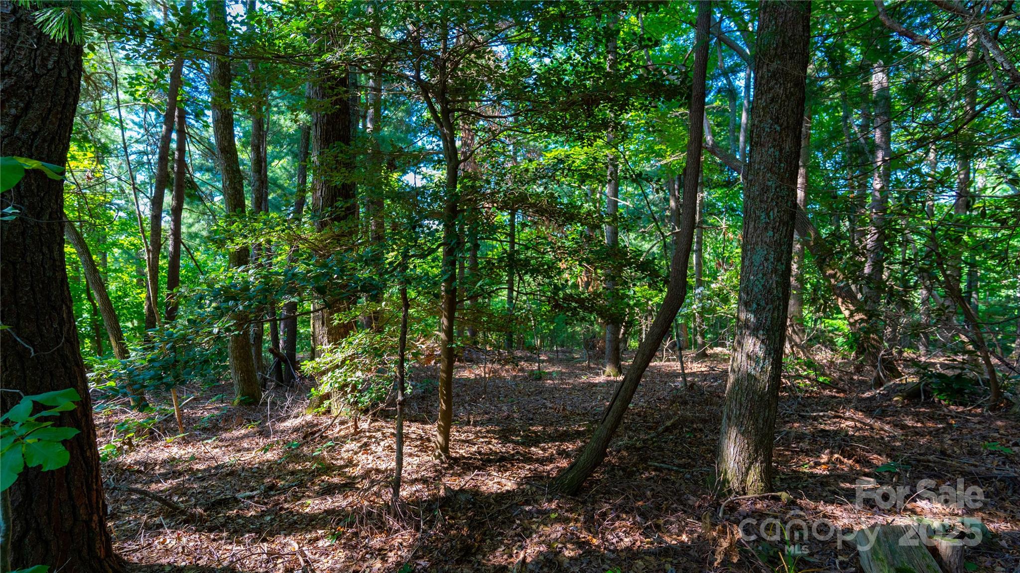 00 Glen Echo Circle