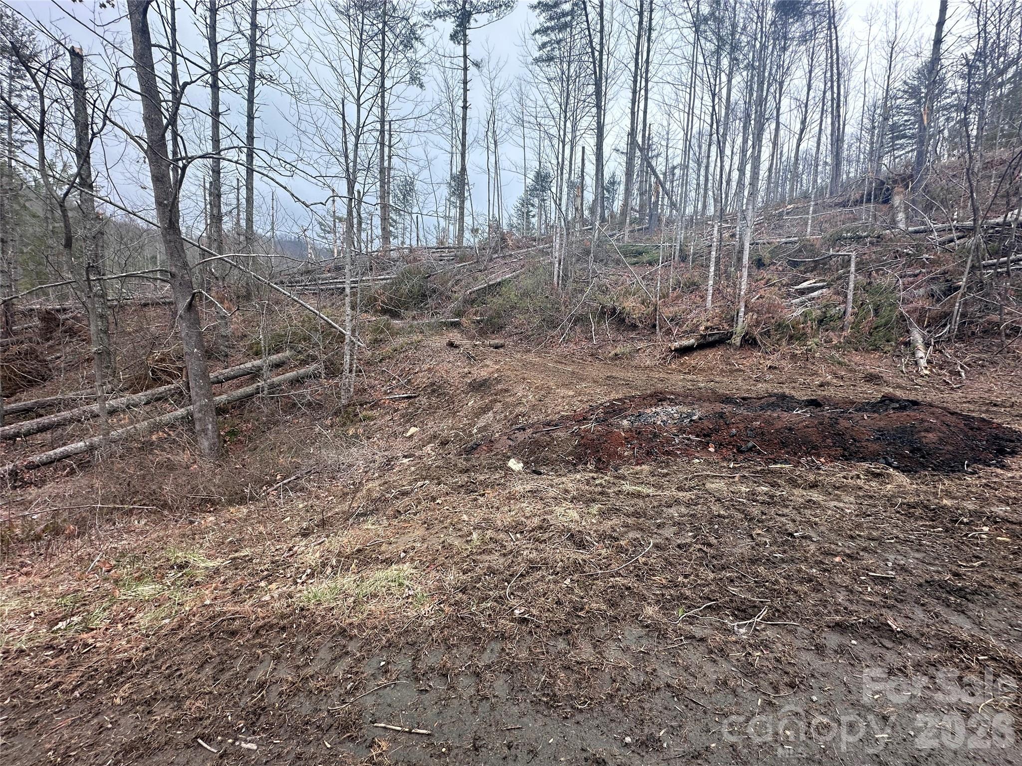 Beech Creek Estates - Land