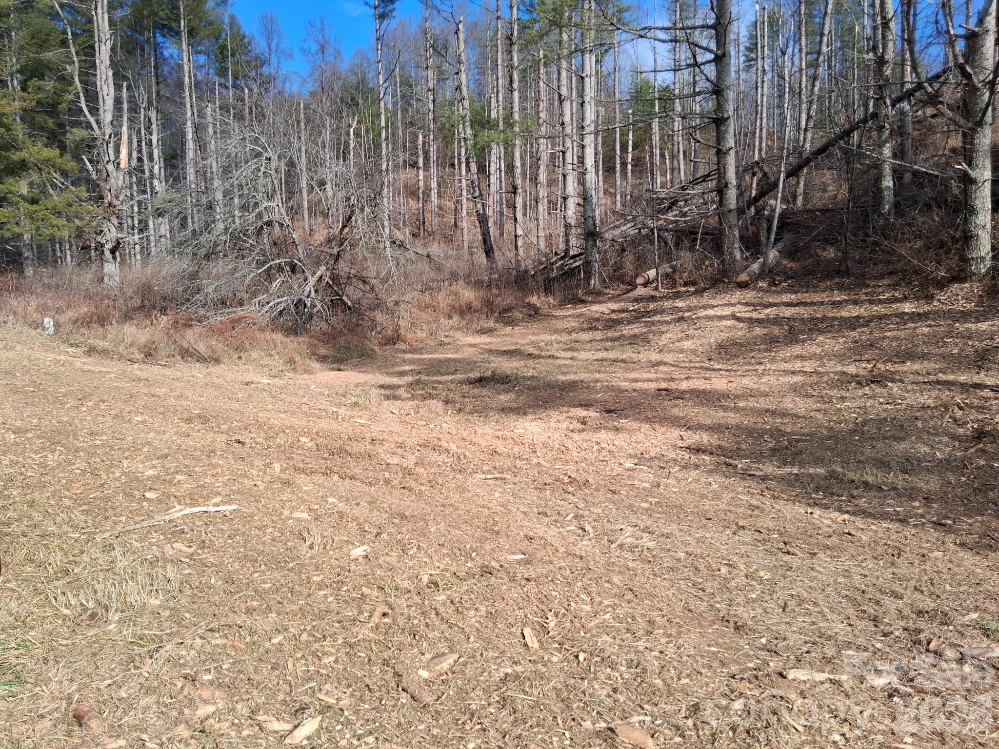 Beech Creek Estates - Land