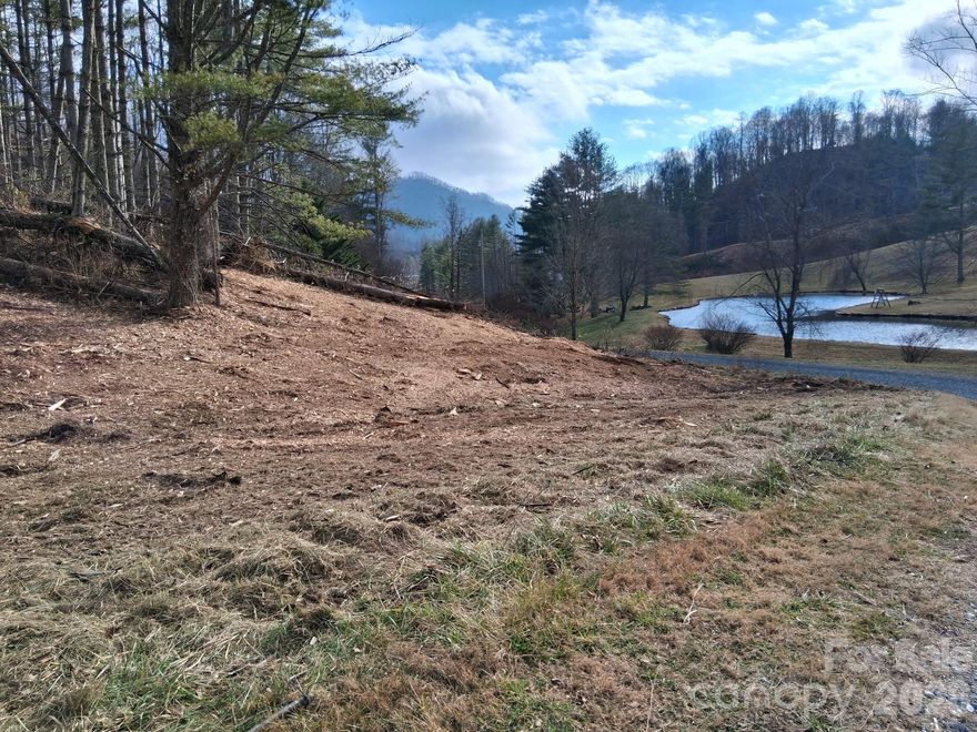 Welcome to a stunning serene subdivision in Bakersville, NC – Beech Creek. Enter off of NC-209 and cross over the stream full of Native NC Trout. Pass through the community's coveted community maintained pond, and common area - all right next door! This lot has tons of potential with a gentle slope and gentle access points. Underground power. Build your dream cabin, mountain get-away, or custom home that overlooks a beautiful planing field and native wildlife, covered in wildflowers and native NC plants. Let deer eat from your hands and experience what the beauty of the mountains bring - peace and tranquility. Beech Creek is located 20 minutes from Unicoi, TN, or 1 hour 5 min to Asheville. Less than 10 minutes to Dollar General and Buladean NC, community. This provides a beautiful scenic buffer to necessities or in-town fun. Come visit! You will see how special this community really is.