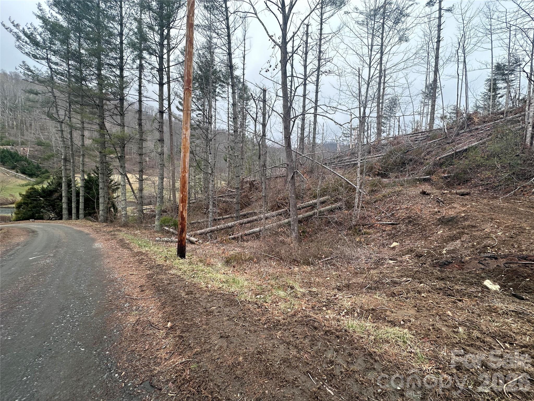 Beech Creek Estates - Land