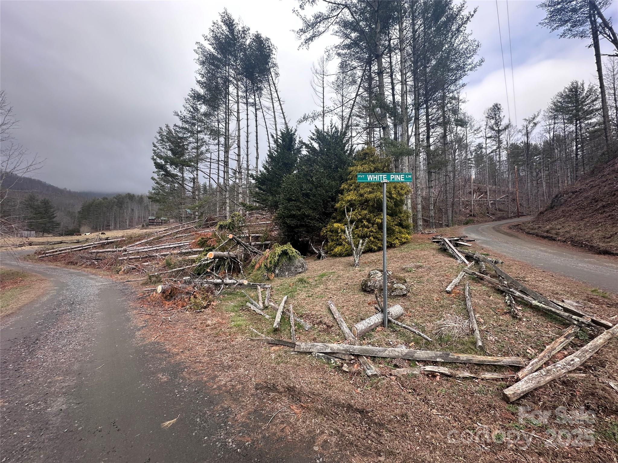 99999 Big Rock Creek Drive