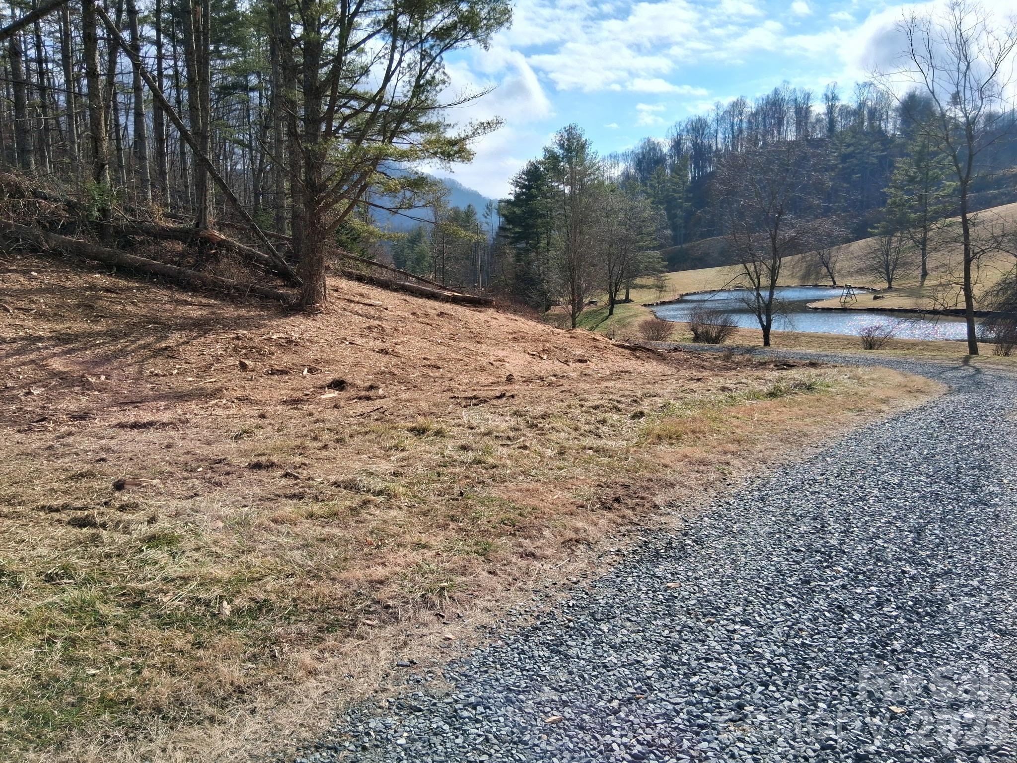 Beech Creek Estates - Land