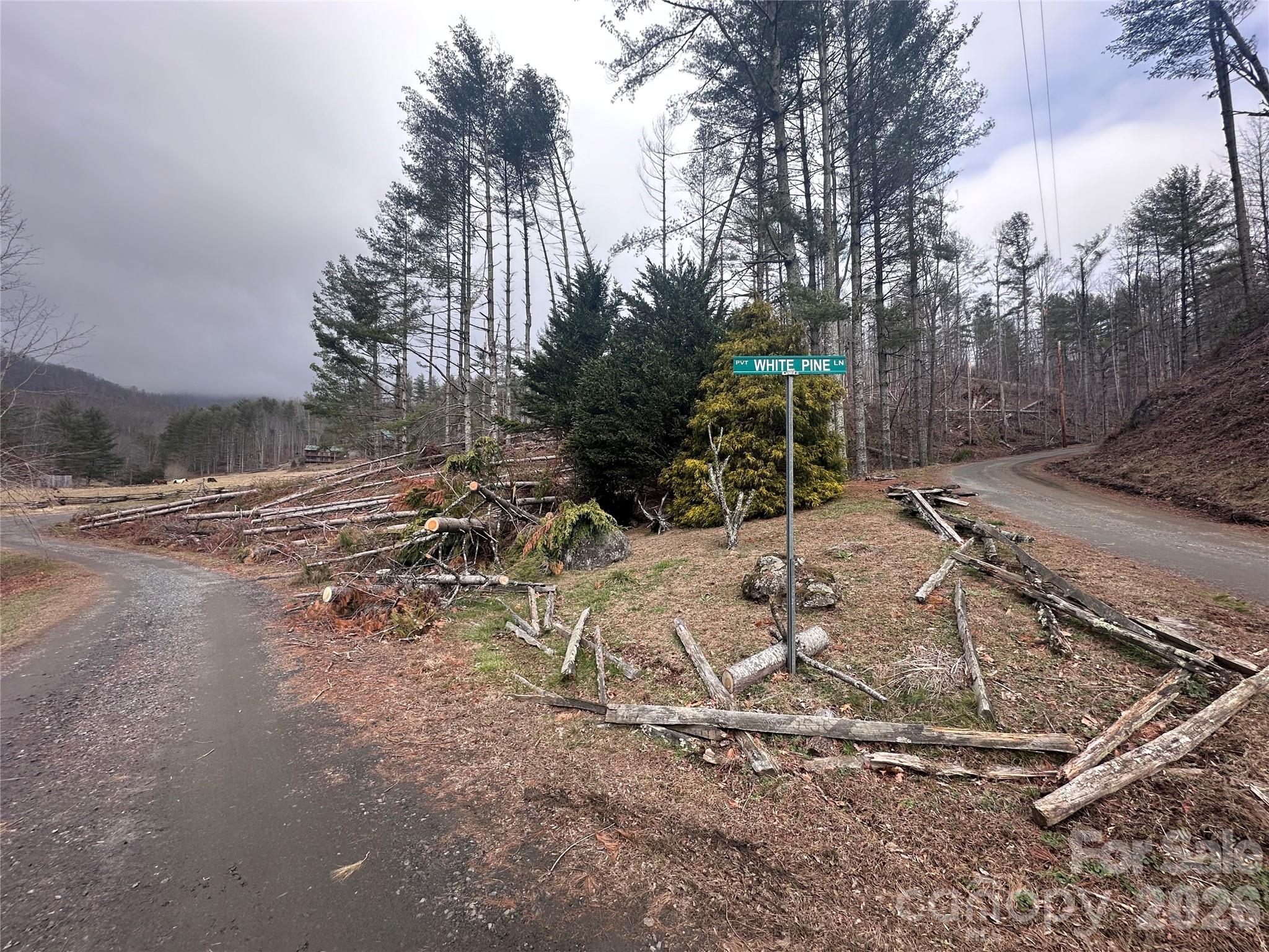 Beech Creek Estates - Land