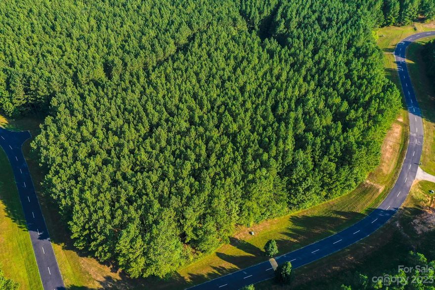 Step into the extraordinary world of Spencer Pointe, an exclusive gated community where nature's beauty and refined living converge. This enchanting corner lot, embraced by mature, planted pines, offers the canvas for your perfect home. Encircled by mature, planted pines, this wooded retreat is a sanctuary for those who seek nature's embrace. Experience a seamless blend of indoor and outdoor living, as you build a home that complements the landscape's serene beauty.

All information in the listing was deemed accurate when entered.  Buyer's agent and buyer responsible for verifying all information.