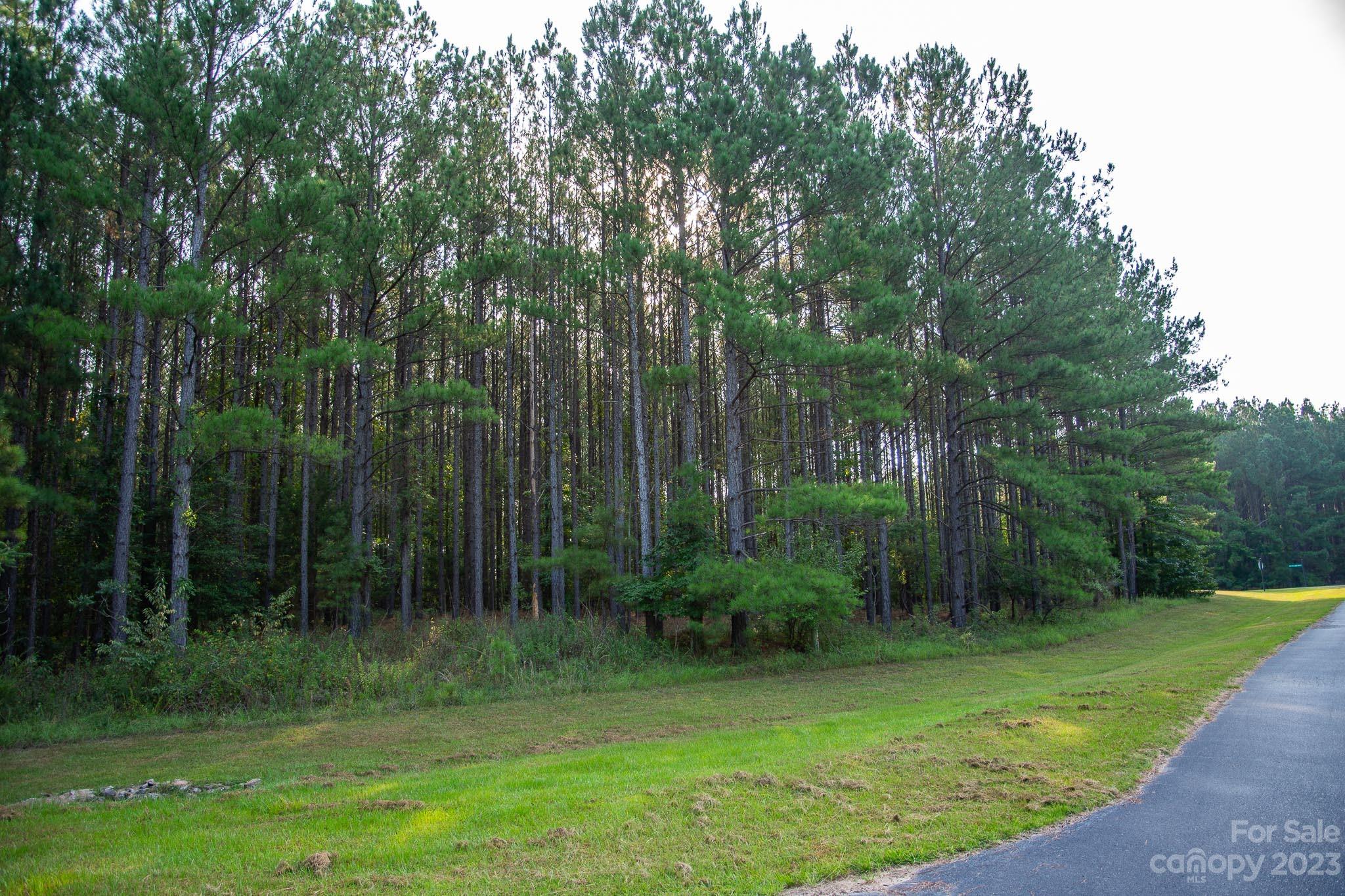 Spencer Pointe - Land