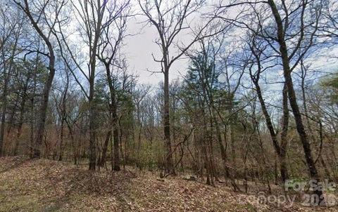 Photo of 9700 Bowman Barrier Road, Mount Pleasant, NC 28124 (MLS # 4431719)