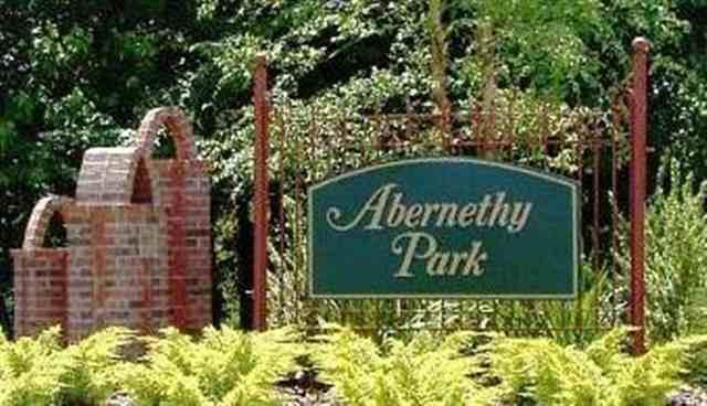 Abernethy Park - Land