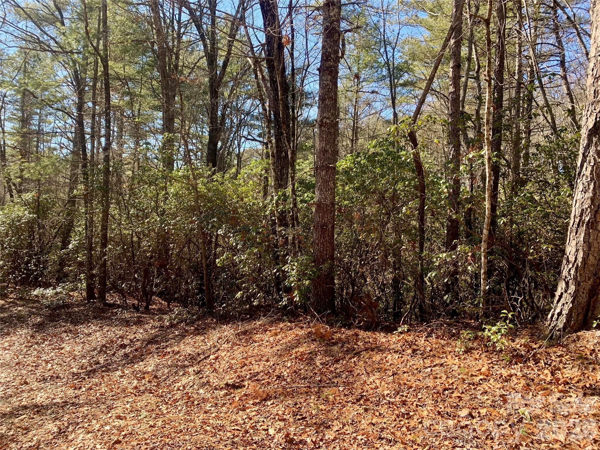 Lot 18 Oak Ridge Drive 18