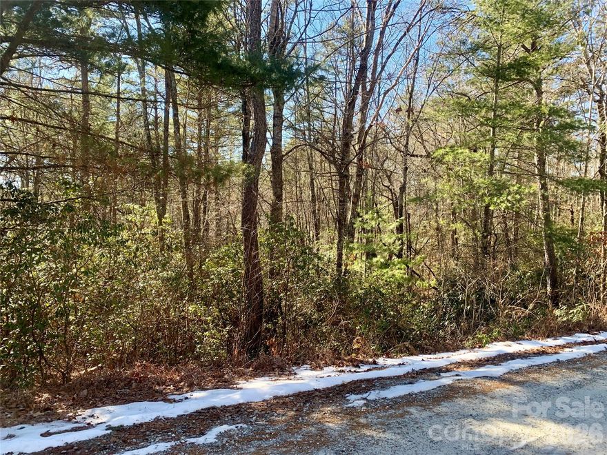 Prime corner lot, perfectly situated miles from the serene Gorges State Park (Frozen Creek Access). This is an opportunity for nature lovers to build the perfect mountain cabin surrounded by the beauty of the outdoors. It is approximately 15 miles away from all the conveniences of downtown Brevard.