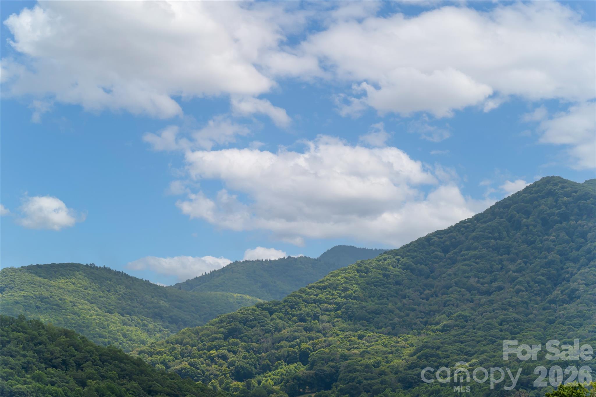 Crocketts Meadow - Residential