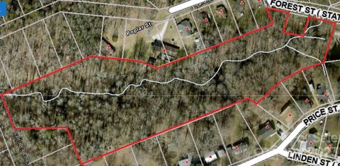  in Clover SC 7+/- Acres Forest Street.jpg