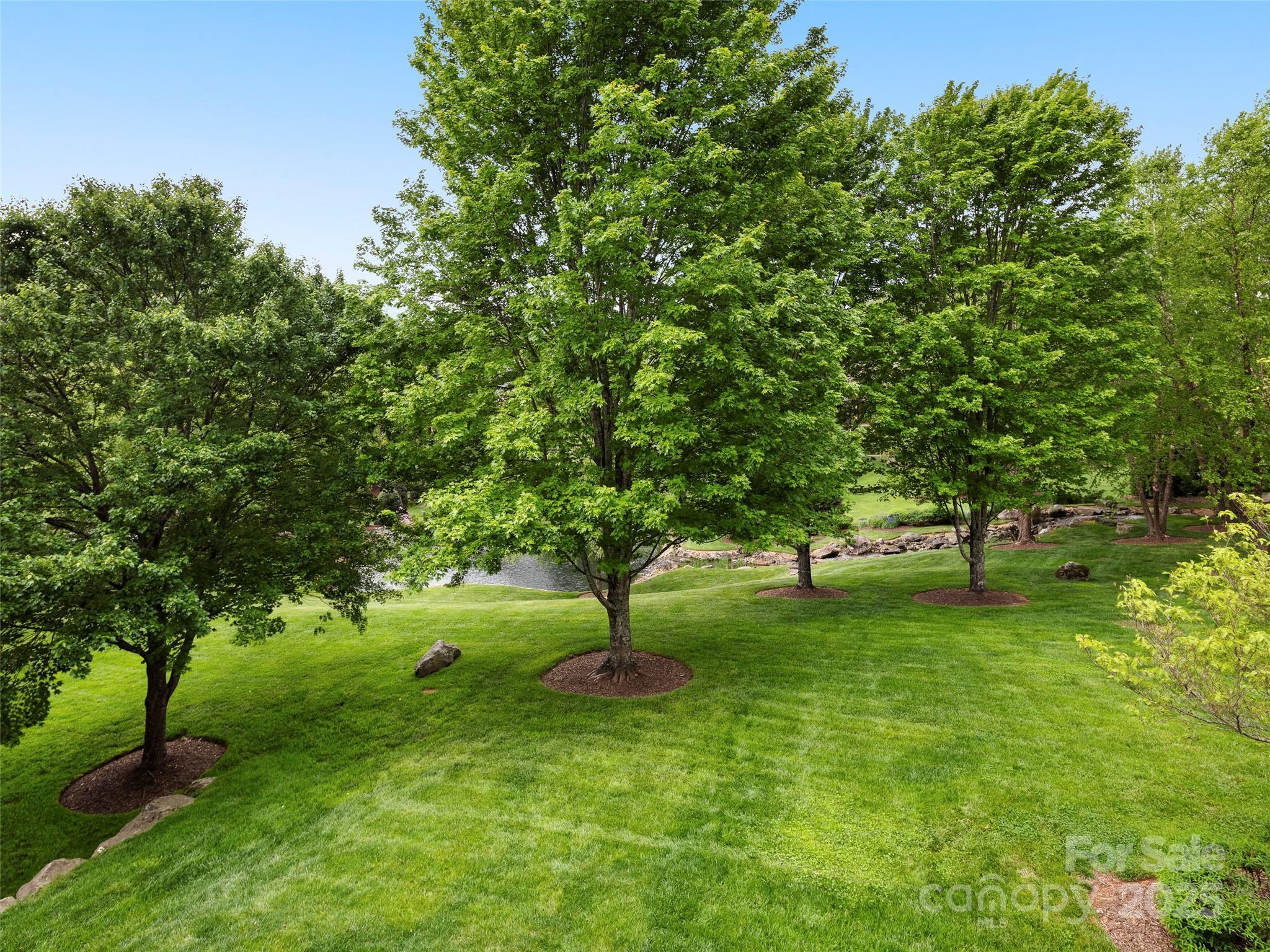 The Cliffs at Walnut Cove - Residential