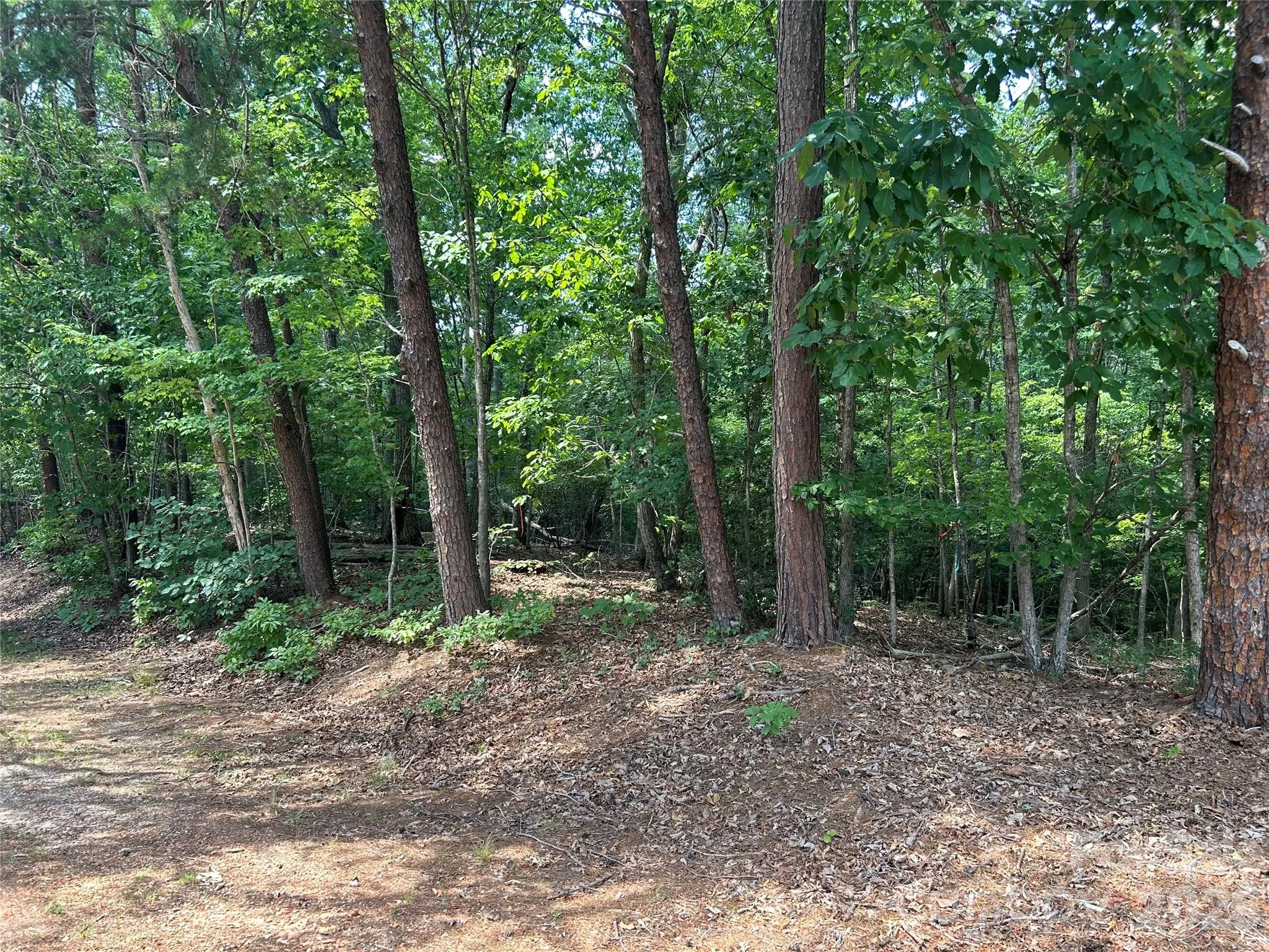 111 Peach Drive Unit 333, Troy, NC, 27371