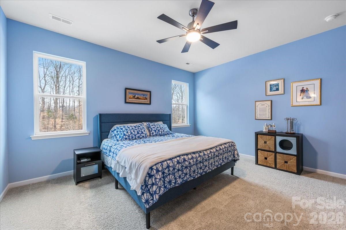 The Vineyards on Lake Wylie - Residential