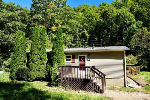 320 Pacer Trail Canton NC 28716