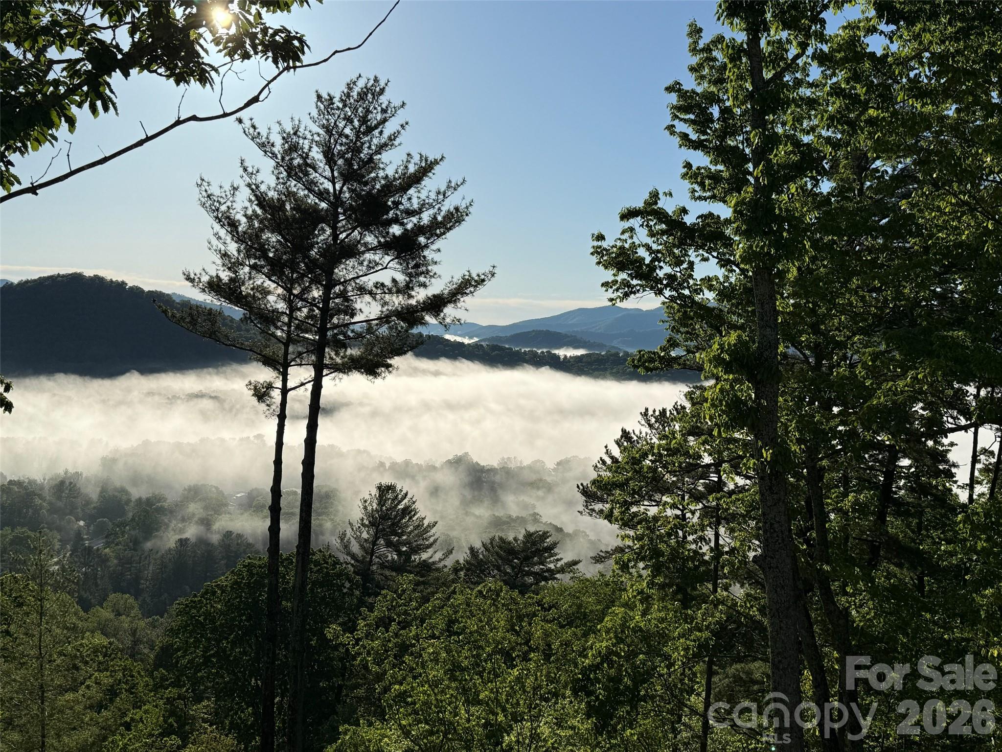 Falcon Ridge at Haw Creek - Residential